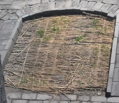 草帘产品展示，编织紧密的草帘卷装，工业仓库背景